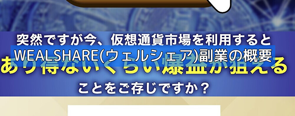 WEALSHARE(ウェルシェア)副業の概要の画像